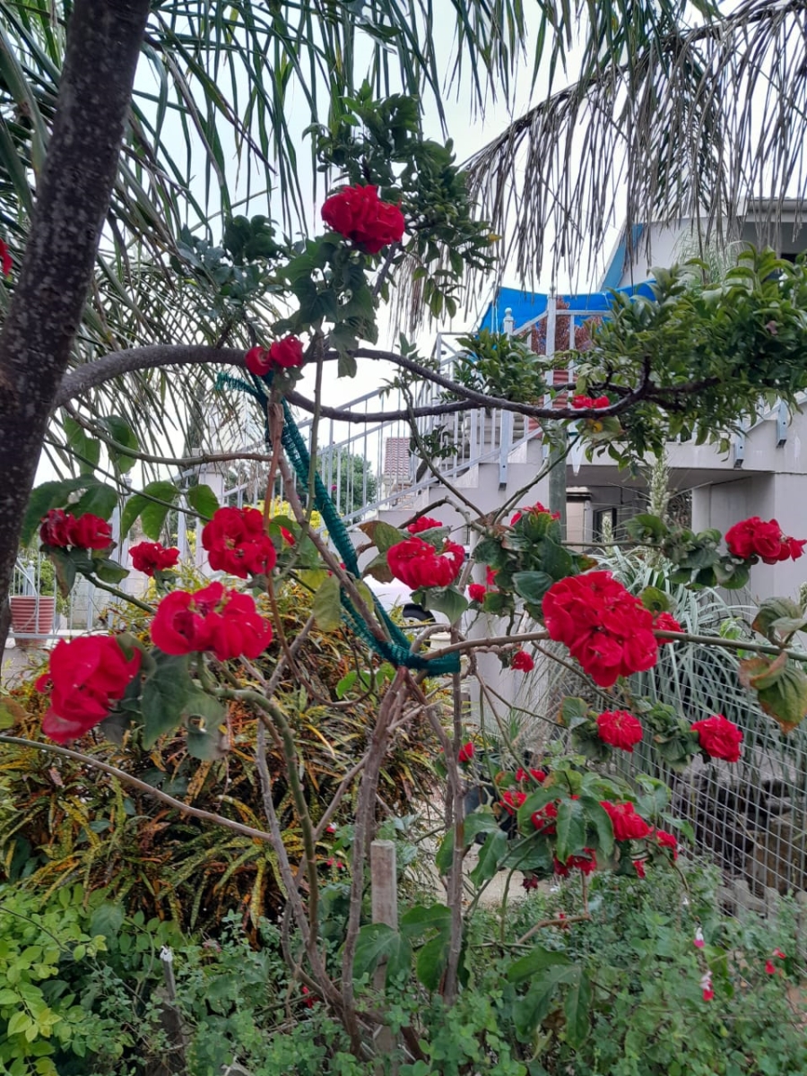 4 Bedroom Property for Sale in Wavecrest Eastern Cape